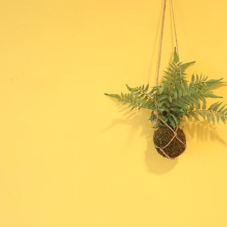 小巷微光 Appartement Lyudao Buitenkant foto