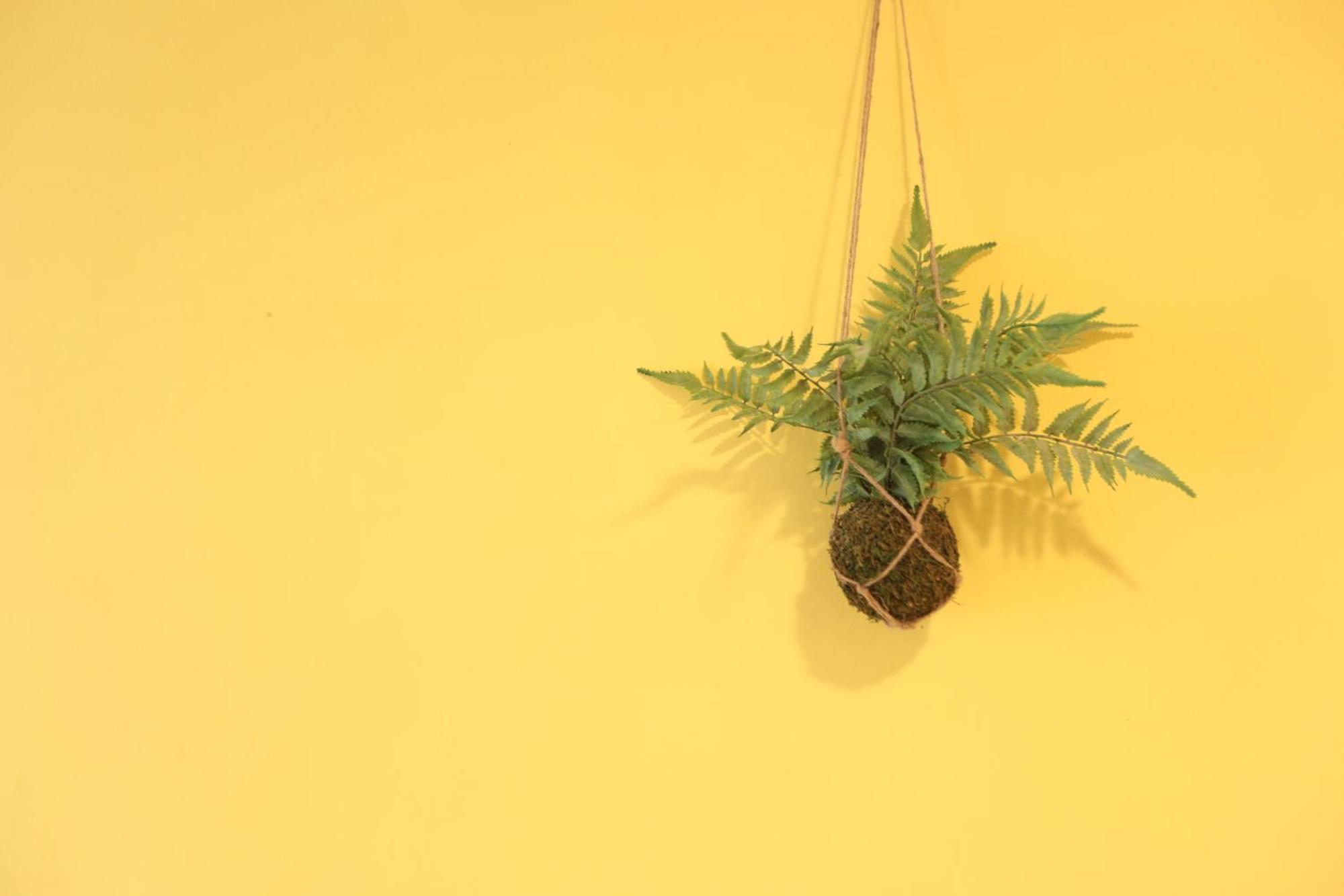 小巷微光 Appartement Lyudao Buitenkant foto